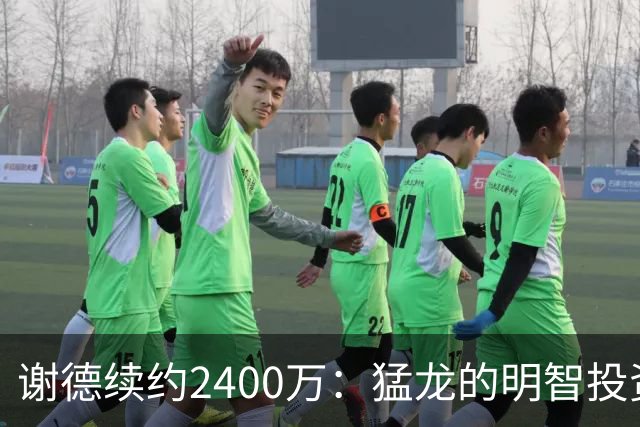 谢德续约2400万：猛龙的明智投资之选
